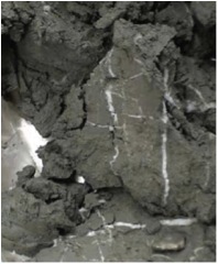methane hydrate in cracks