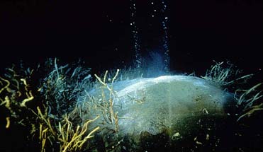 seafloor methane hydrate