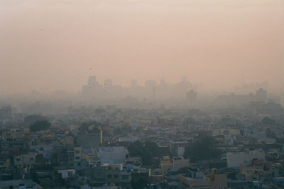 delhi