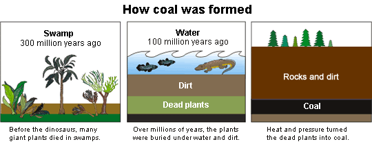how coal was formed process diagram