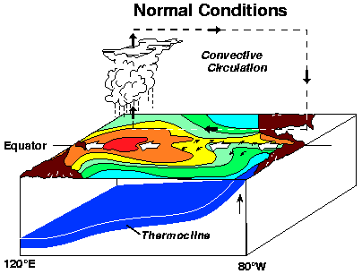 normal conditions image